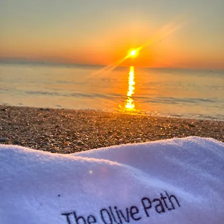 The Olive Path
