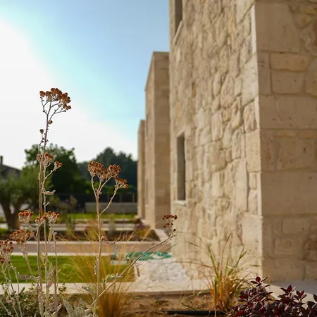 The Olive Path