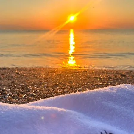 Villa The Olive Path